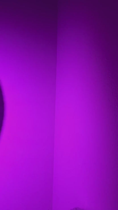 Rebel Raver Folding Fan w/ Pink LEDs